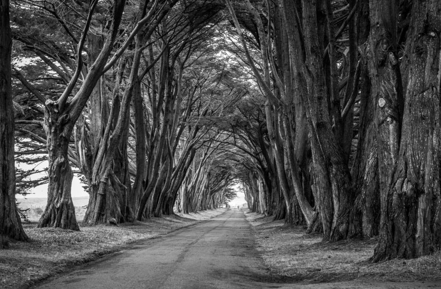 How did your journey begin?